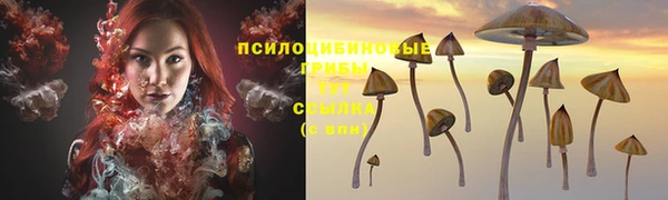 MESCALINE Богородицк