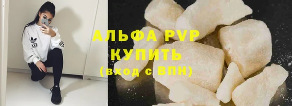 спиды Богданович