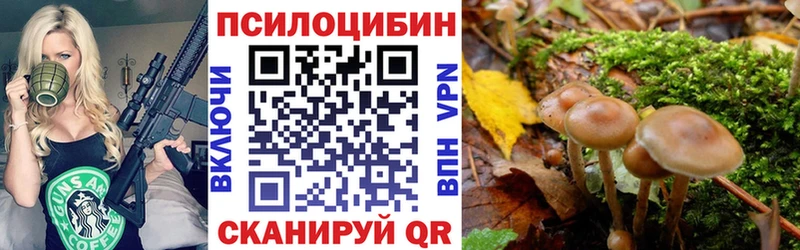 Псилоцибиновые грибы GOLDEN TEACHER  Верхняя Тура 